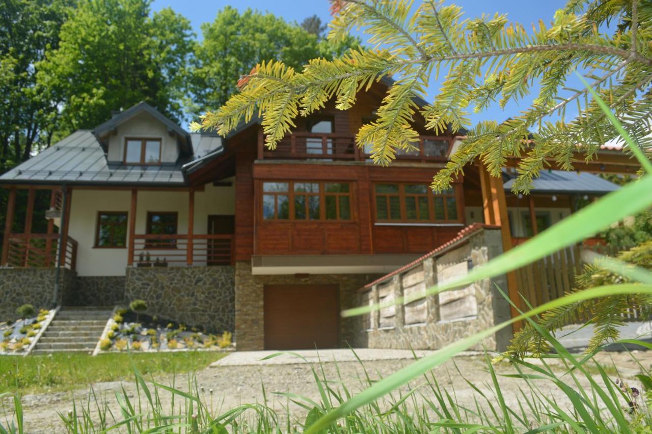 Domek Nad Kryniczanka Krynica Zdroj Exterior photo
